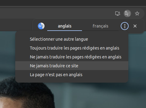 Image de l'onglet Google translate